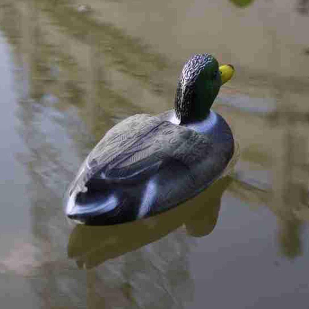 Symulacja pływającej kaczki, p – Decoy Duck Plastic recenzja i cena