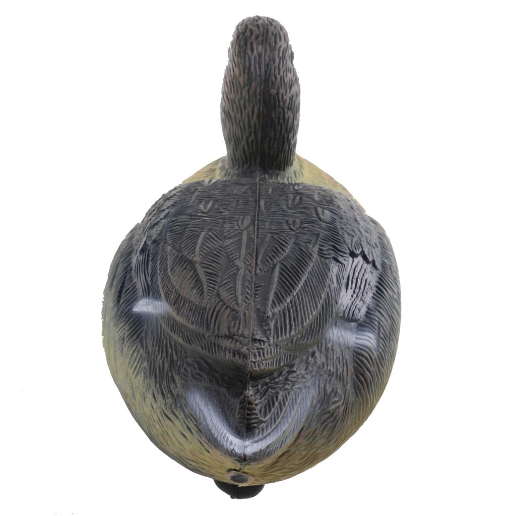 Wytrzymałe plastikowe kaczki-a – Decoy Duck Plastic recenzja i cena