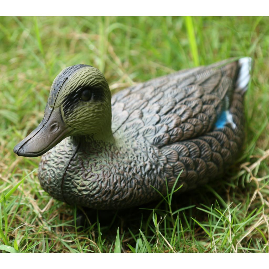 Realistyczna plastikowa atrapa – Decoy Duck Plastic recenzja i cena