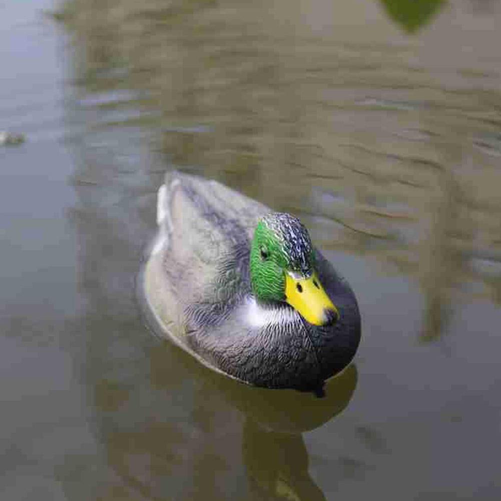 Realistyczna plastikowa kaczka – Decoy Duck Plastic recenzja i cena