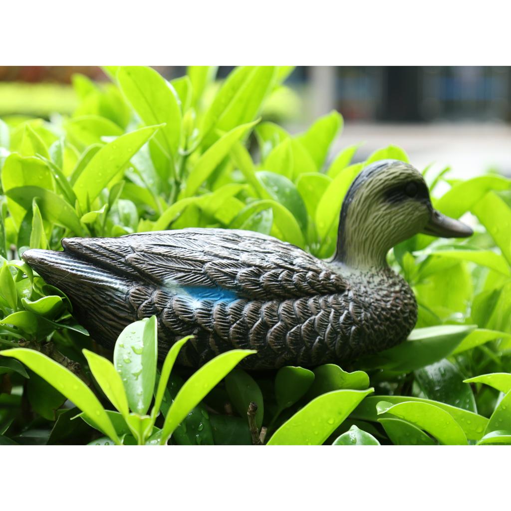 Sztuczna przynęta na ptaki, re – Decoy Duck Plastic recenzja i cena