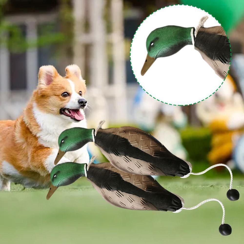 Zabawki treningowe dla psów -  – Decoy Duck Plastic recenzja i cena