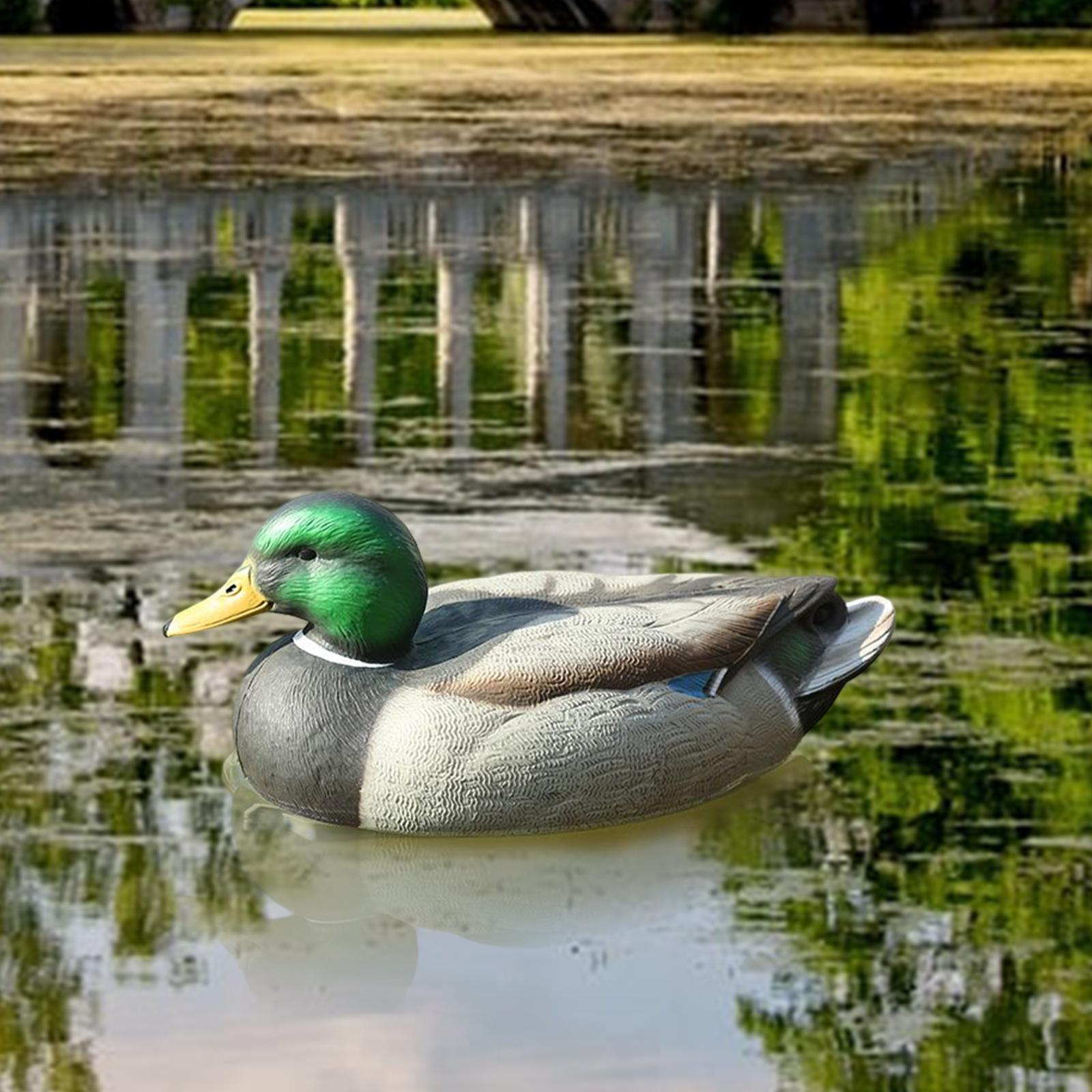 Anatomicznie idealna plastikow – Decoy Duck Plastic recenzja i cena