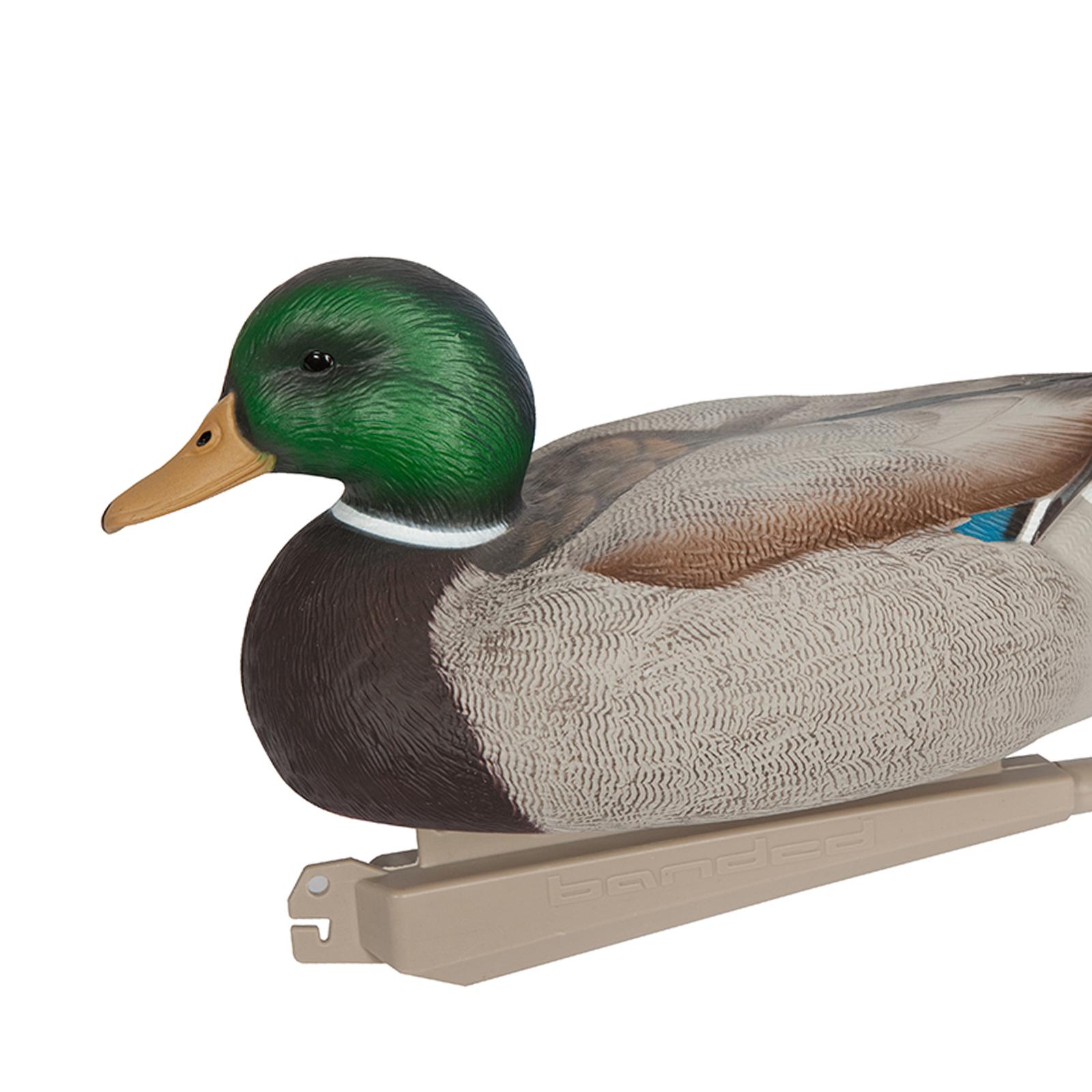 Anatomicznie idealna plastikow – Decoy Duck Plastic recenzja i cena