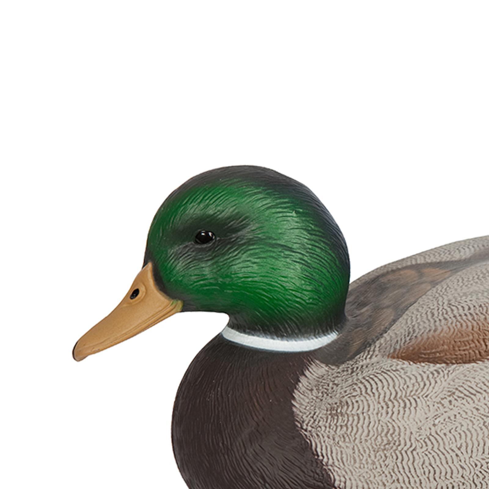 Anatomicznie idealna plastikow – Decoy Duck Plastic recenzja i cena