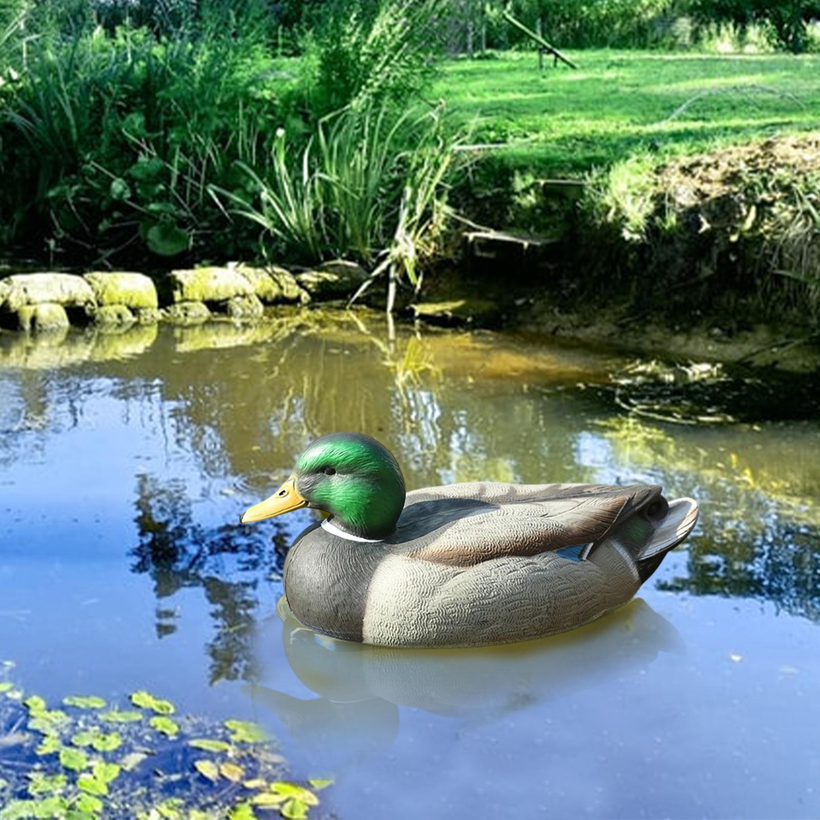 Anatomicznie idealna plastikow – Decoy Duck Plastic recenzja i cena