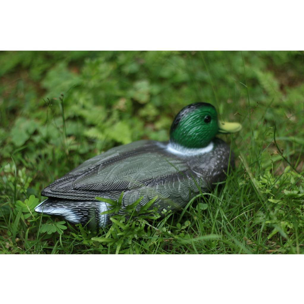 Realistyczna plastikowa kaczka – Decoy Duck Plastic recenzja i cena
