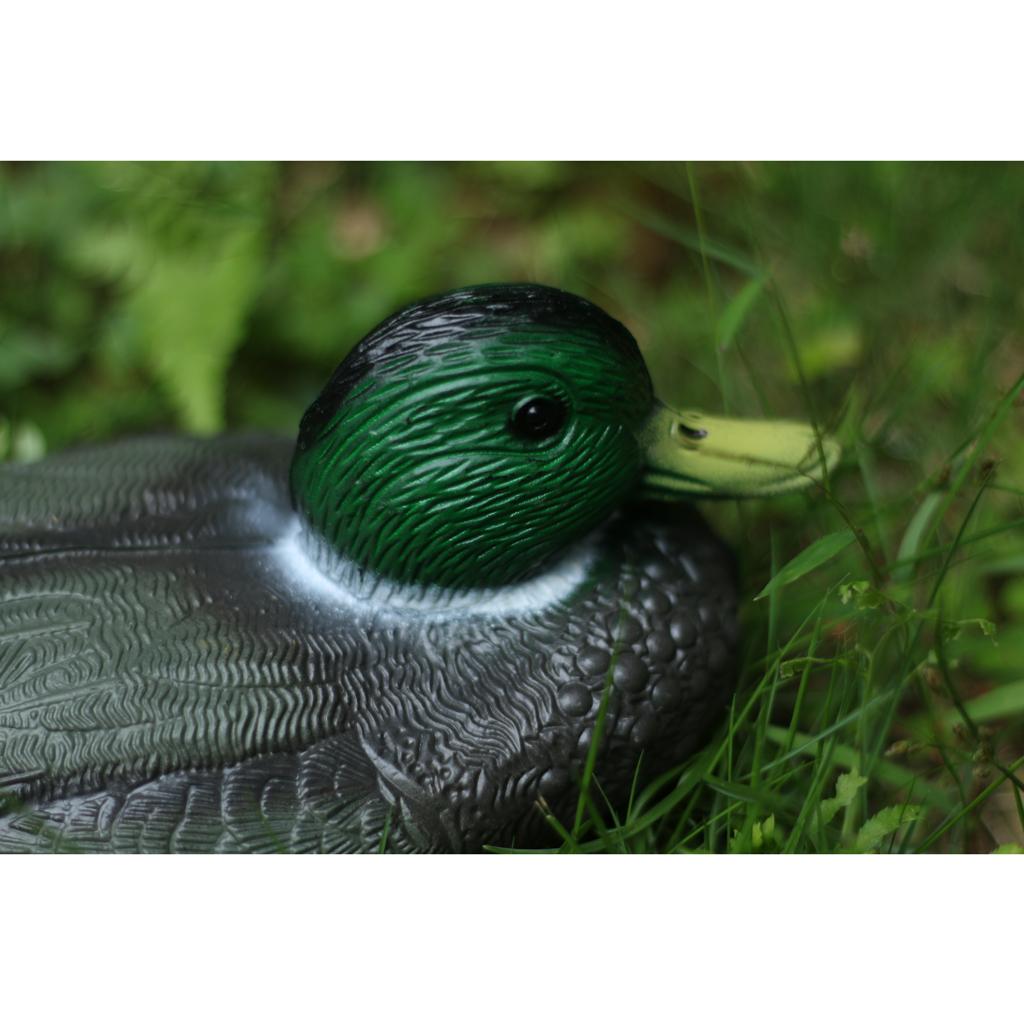 Realistyczna plastikowa kaczka – Decoy Duck Plastic recenzja i cena