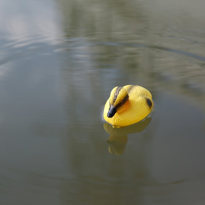Pływające Kaczki Kaczuszki Ozd – Decoy Duck Plastic recenzja i cena