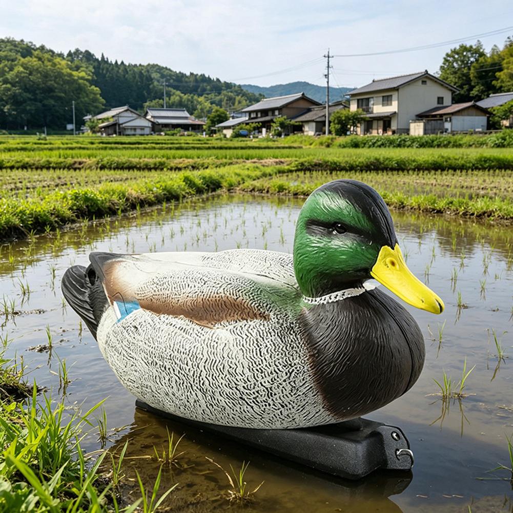 Pływająca kaczka-attrap 3D, re – Decoy Duck Plastic recenzja i cena